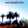 Chamberlain, Matt - Matt Chamberlain