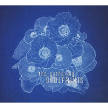 Gathering - Blueprints