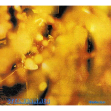 Steamhammer - Reflection