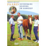 Documentary - Dagboek Van Een Paard -