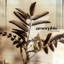 Amorphis - Tuonela LP BLACK GOLD
