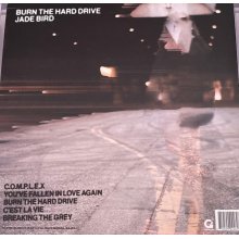 Bird, Jade - Burn The Hard Drive LP