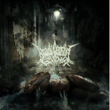 Bradi Cerebri Ectomia - Mangled Perception