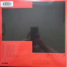 Everything Everything - Raw Data Feel LP CLEAR