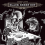 Okkervil River - Black Sheep Boy LP