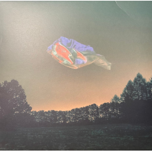 Elektro Guzzi - Liquid Center