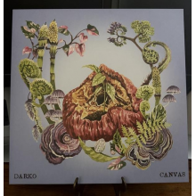Darko - Canvas