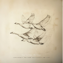 Near the Pond - Wild Geese