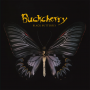 Buckcherry - Black Butterfly