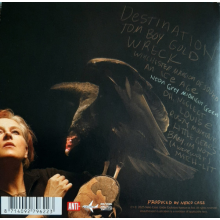 Case, Neko - Neon Grey Midnight Green