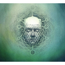 22 - You Are Creating Limb 1