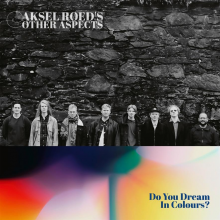 Aksel Roed Other Aspects - Do You Dream In Colours?