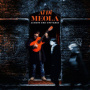 Al Di Meola - Across The Universe - The Beatles Vol 2