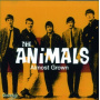 Animals - Almost Grown
