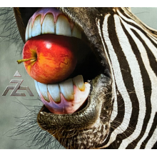 A-Z - A-Z