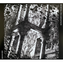 Bedsore Mortal Incarnation - Split
