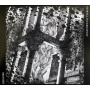 Bedsore Mortal Incarnation - Split