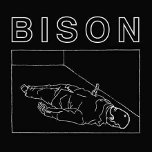 Bison - One Thousand Needles