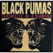 Black Pumas - Chronicles Of A Diamond LP CLEAR