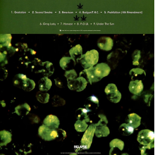 Bongzilla - Stash LP