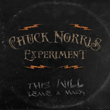 Chuck Norris Experiment - This Will Leave A Mark