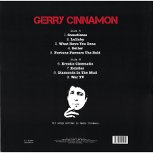 Cinnamon, Gerry - Erratic Cinematic LP