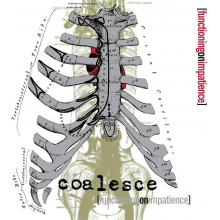 Coalesce - Functioning On Impatience