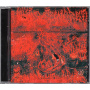 Concrete Winds - Concrete Winds