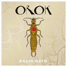 Kalio Gayo - Orok