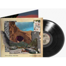 Dave Matthews Band - Walk Around The Moon LP