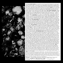 Ea 80 - Mehr Schreie (Reissue)