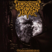 Destroying The Devoid - Paramnesia