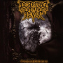 Destroying The Devoid - Paramnesia