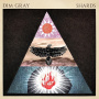 Dim Gray - Shards