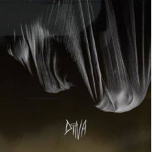 DiNA - DiNA