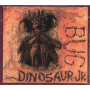 Dinosaur Jr - Bug