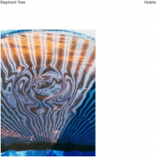 Elephant Tree - Habits