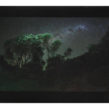 Esben And The Witch - Older Terrors Limited Edition