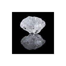 Saltland - A Common Truth