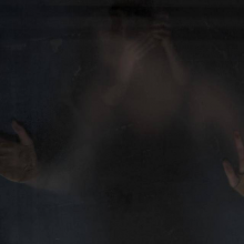 Frost, Ben - The Wasp Factory