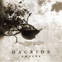 Hacride - Amoeba