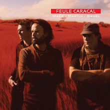 Maes/Martin/Gruel - Feule Caracal