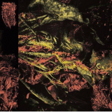 Hissing - Permanent Destitution