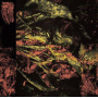 Hissing - Permanent Destitution