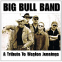 Big Bull Band - A Tribute To Waylon Jennings