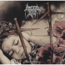 Immortal Bird - Sin Querencia