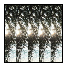 Pontiak - Dialectic of Ignorence