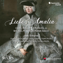 Jean Bregnac Chantal Santon Jeffery Nicolas Bouils Marie Rouquie - Liebe Amalia