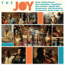Joy, The - The Joy LP