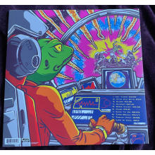 King Gizzard & The Lizard Wizard - Teenage Gizzard LP